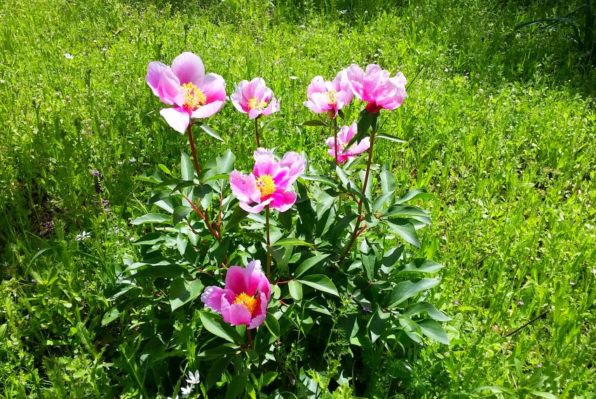 20180506_131732