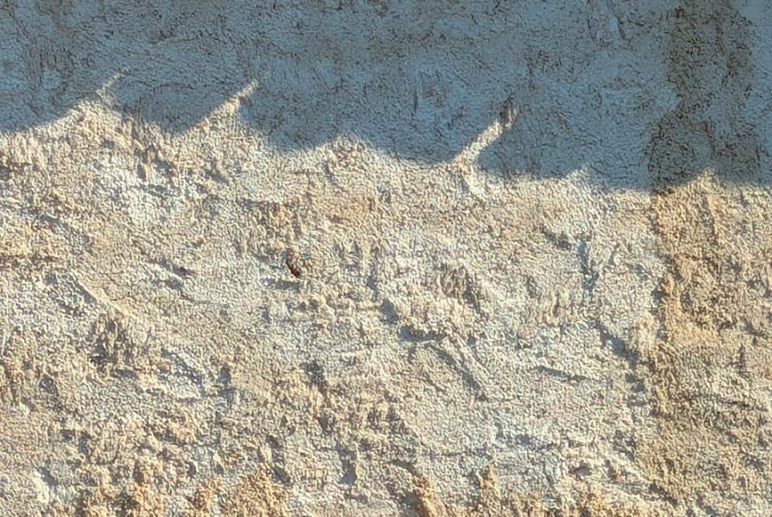 WhatsApp Image 2026-07-07 at 12.06.24 (1)